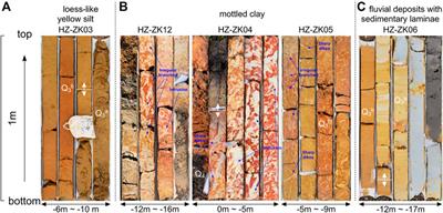 Soft-sediment deformation structures of mottled clay in Huizhou Quaternary basin, coastal South China
